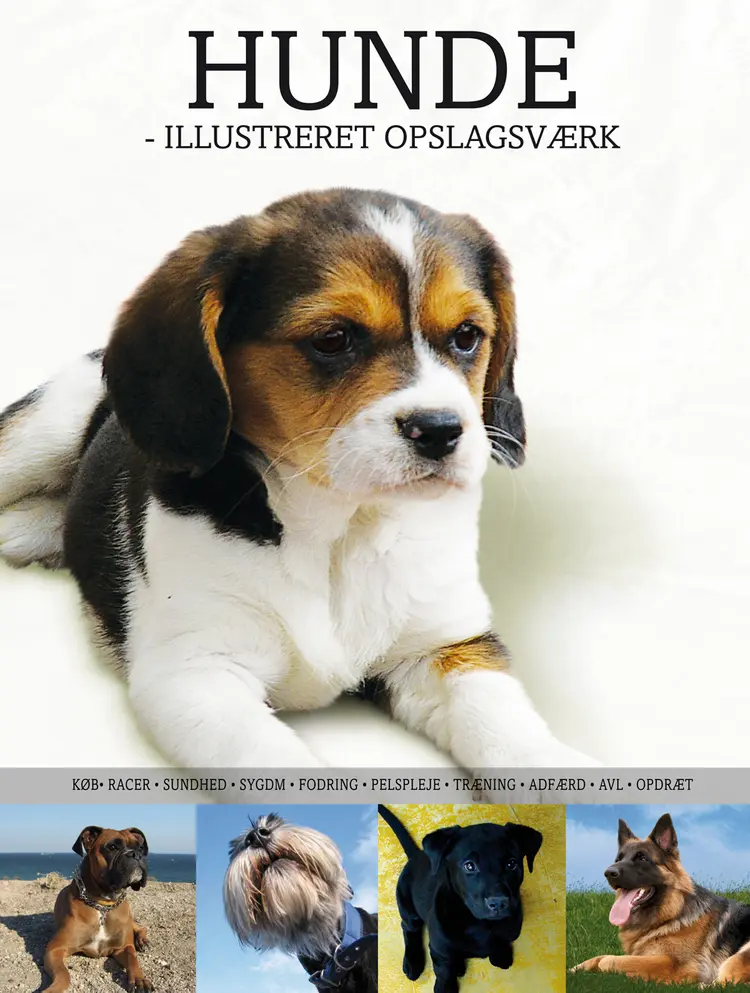 Hunde - illustreret opslagsværk af P. Messent
