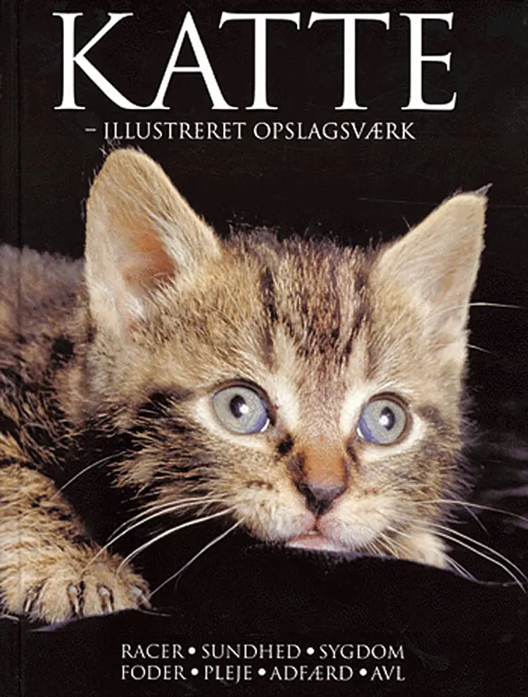 Katte af Lin Esposito