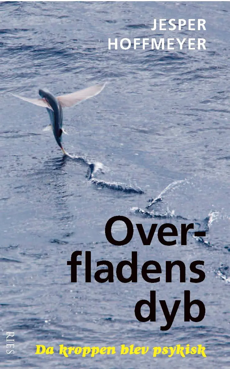 Overfladens dyb af Jesper