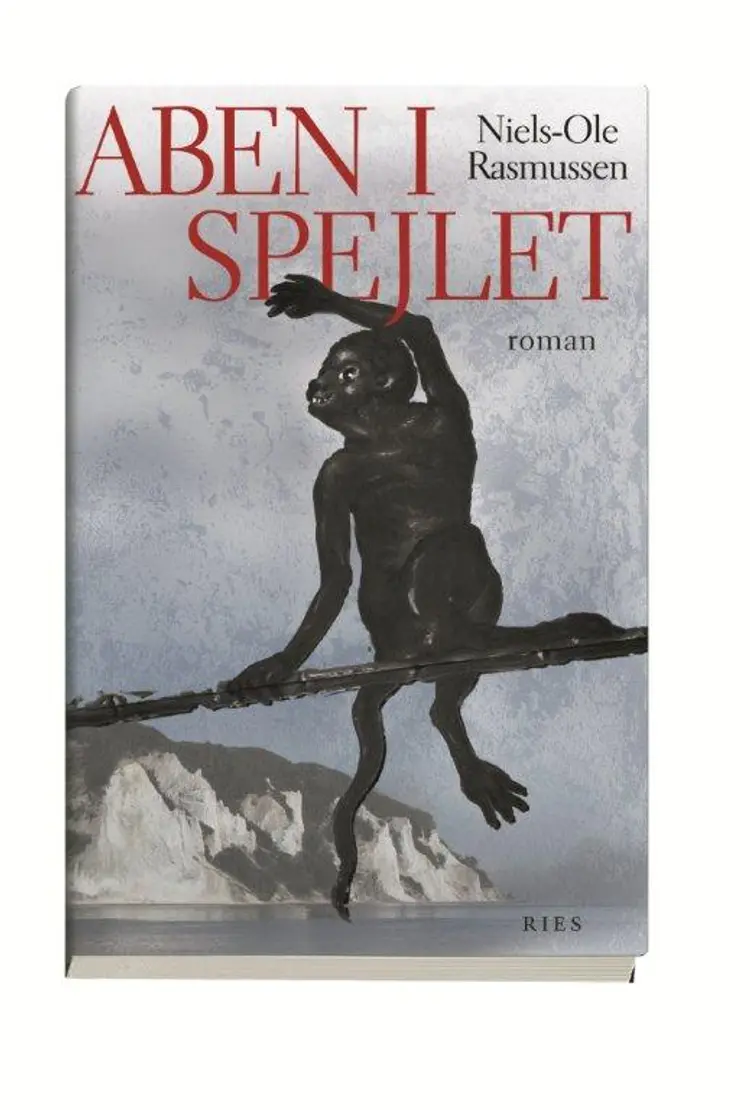 Aben i Spejlet af Niels-Ole Rasmussen