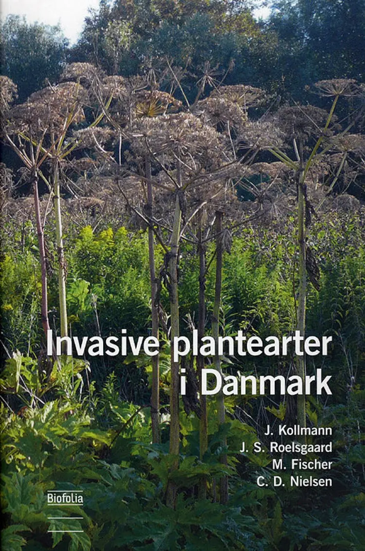 Invasive plantearter i Danmark af Kollmann