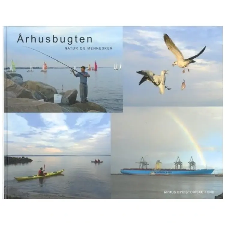Århusbugten af Arne Christiansen