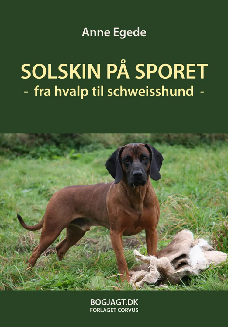 Solskin på sporet af Anne Egede