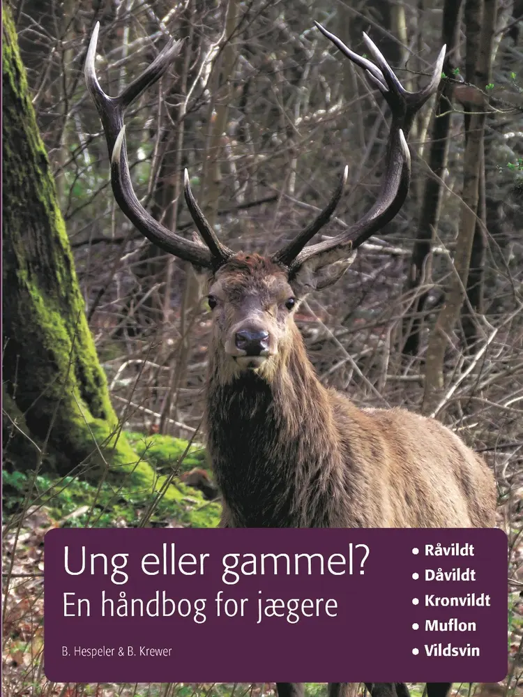 Ung eller gammel? af Bernd Krewer