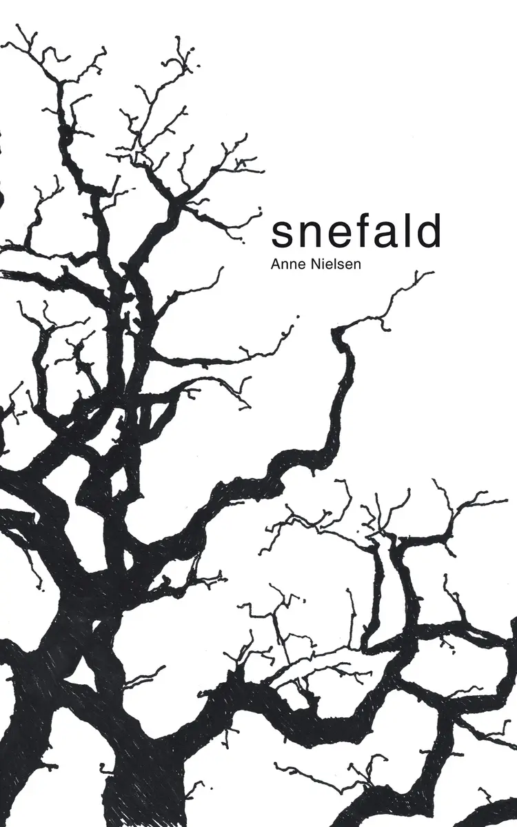 Snefald af Anne Nielsen
