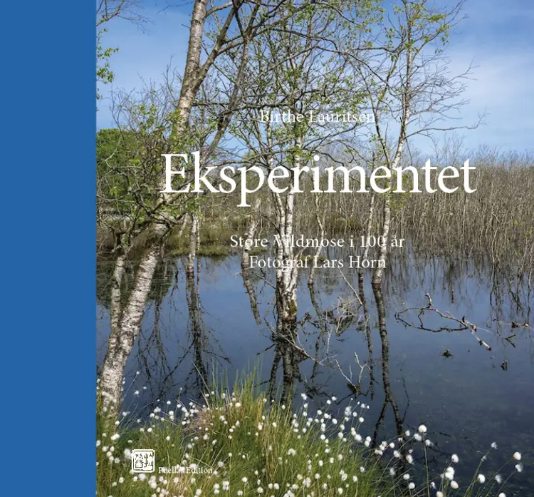 Eksperimentet af Birthe Lauritsen