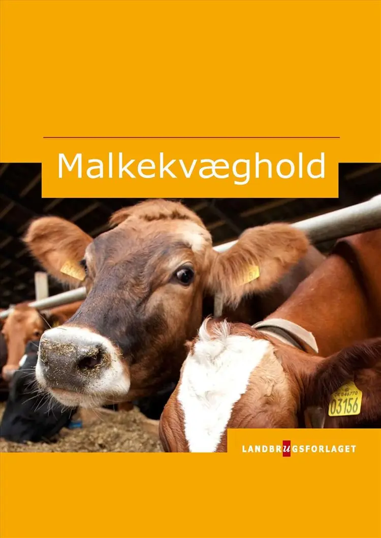 Malkekvæghold af Laust Jepsen