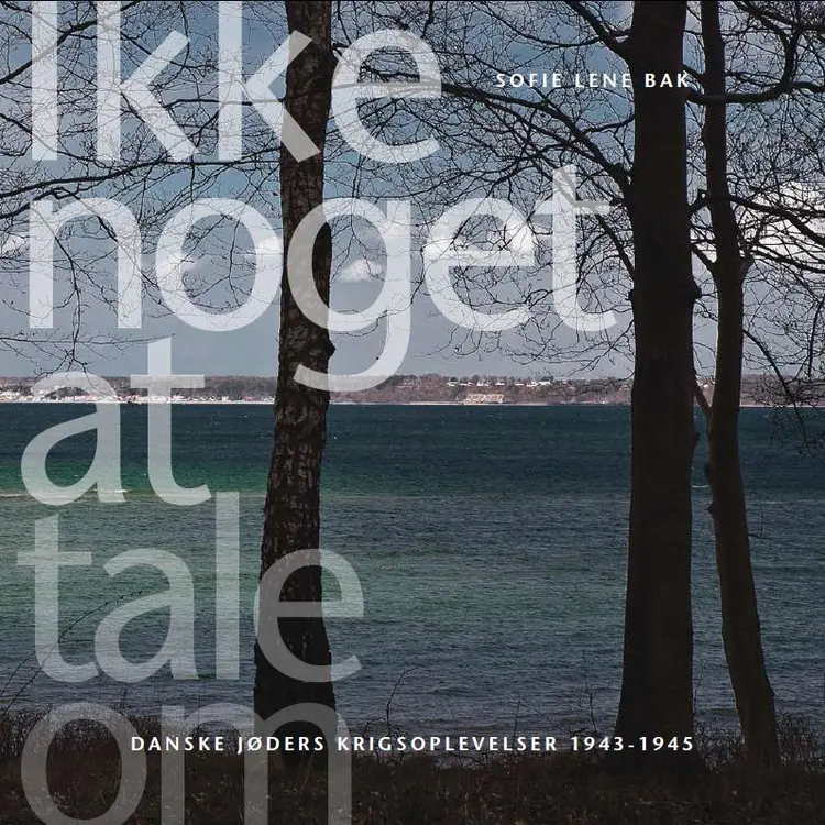 Ikke noget at tale om af Sofie Lene Bak