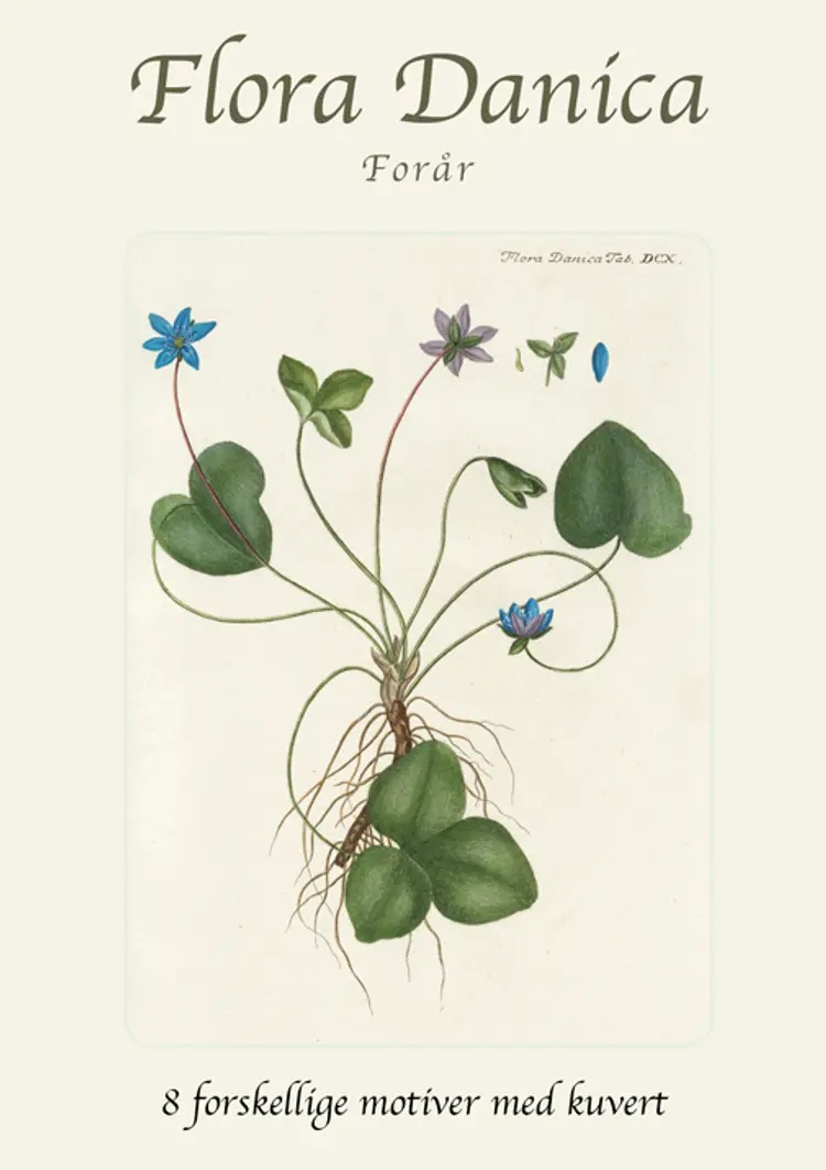 Flora Danica - Forår af Ulla Koustrup