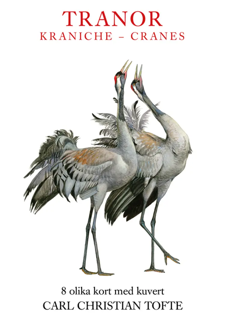Tranor - Kraniche - Cranes af Tofte
