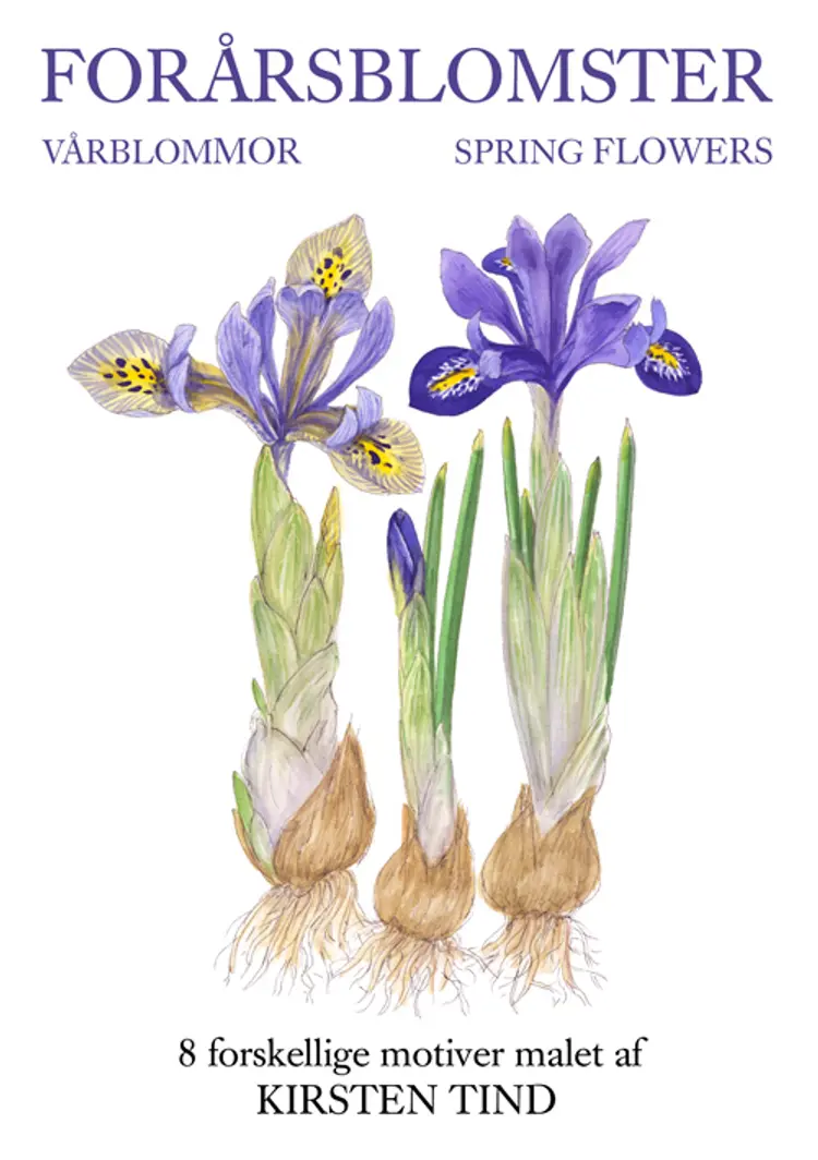 Forårsblomster af Tind