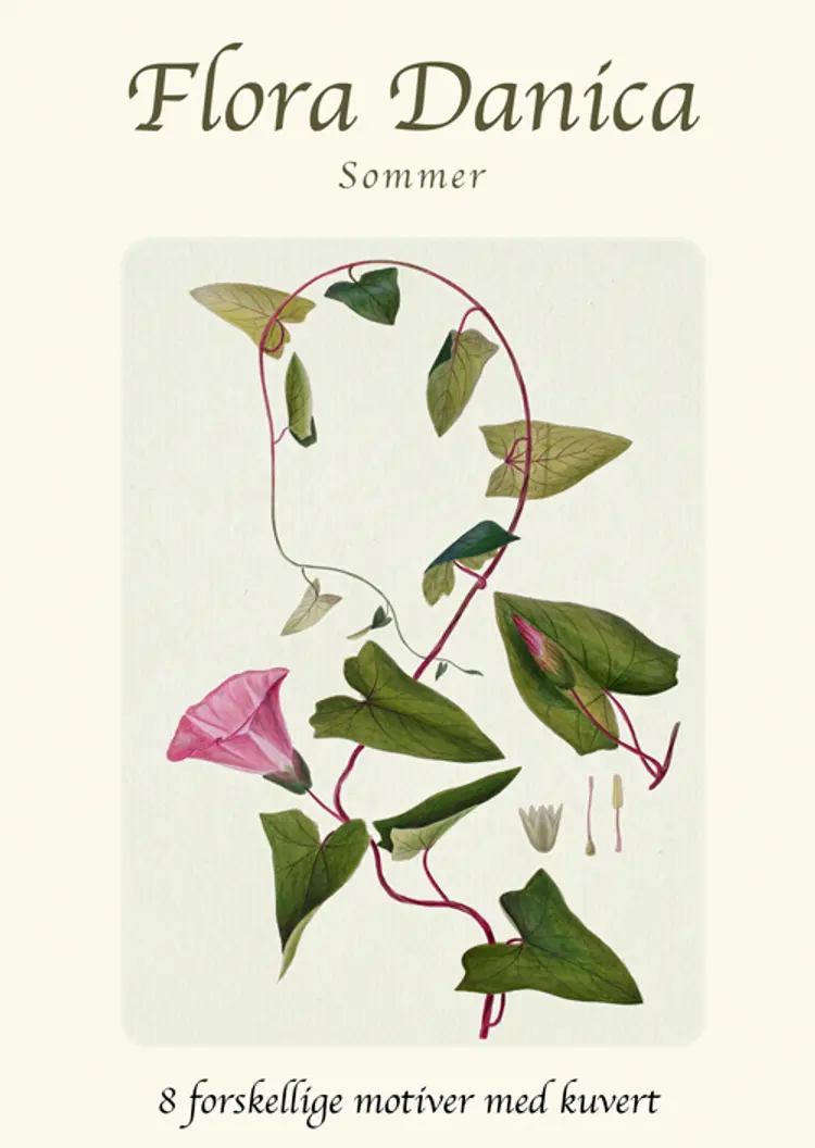 Flora Danica - Sommer af .