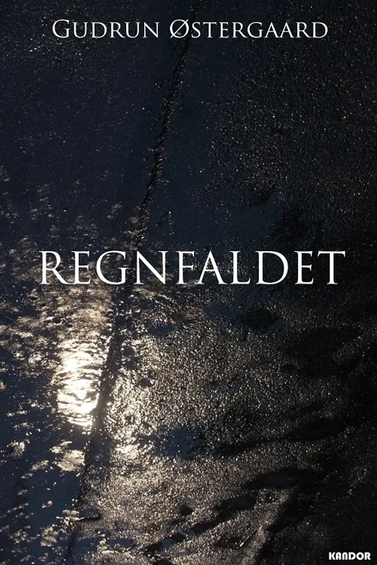 Regnfaldet af Gudrun Østergaard