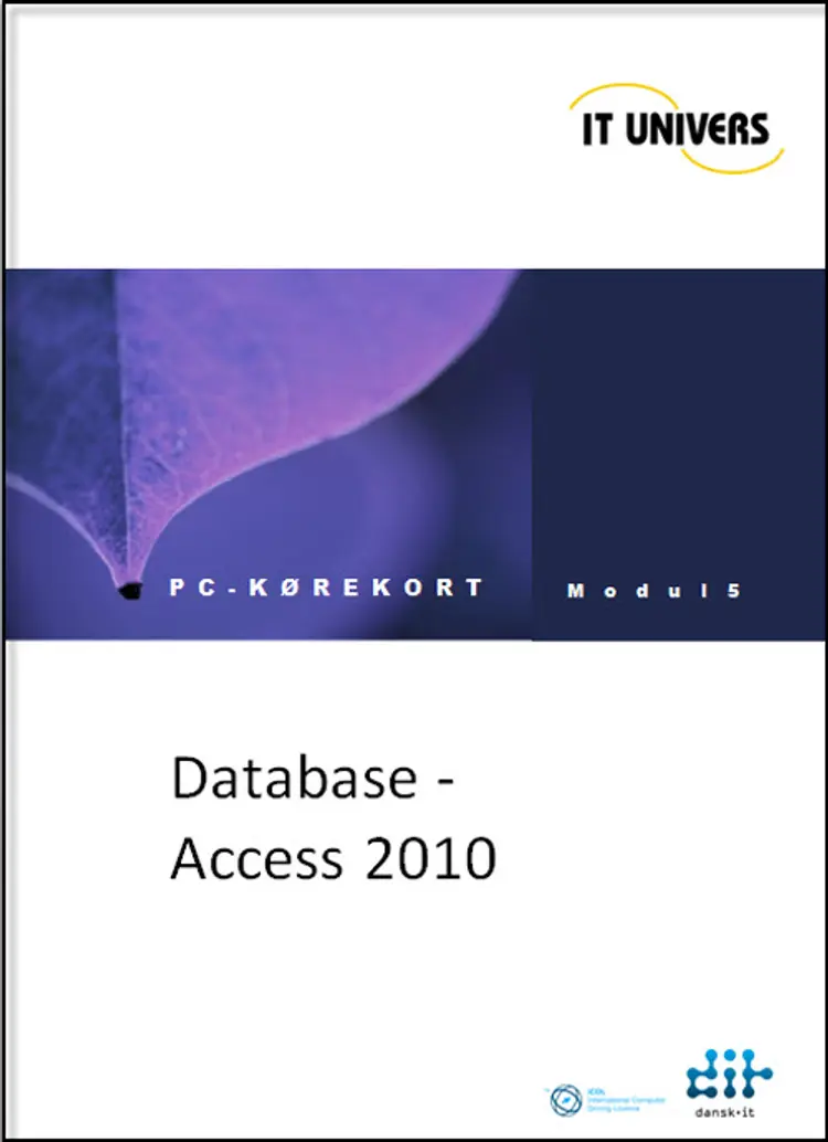 Database, Access 2010 af Charlotte Cederstrøm