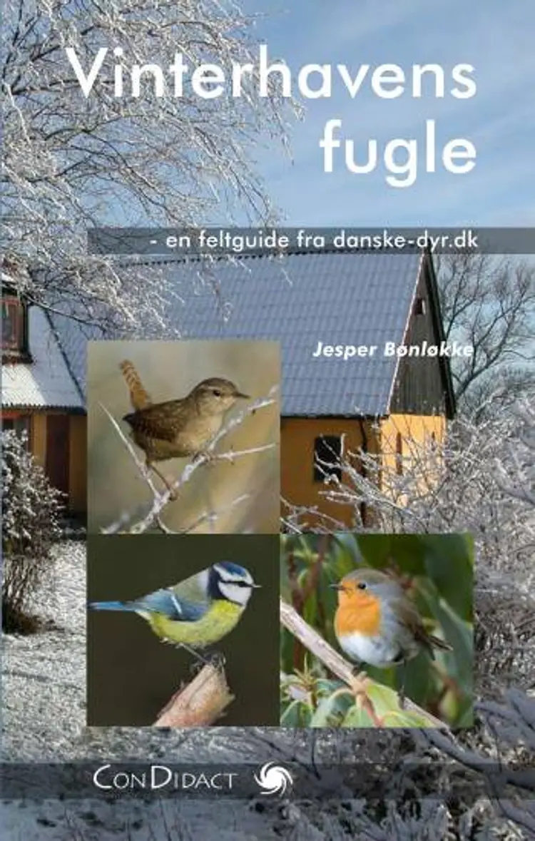 Vinterhavens fugle af Jesper Bønlykke