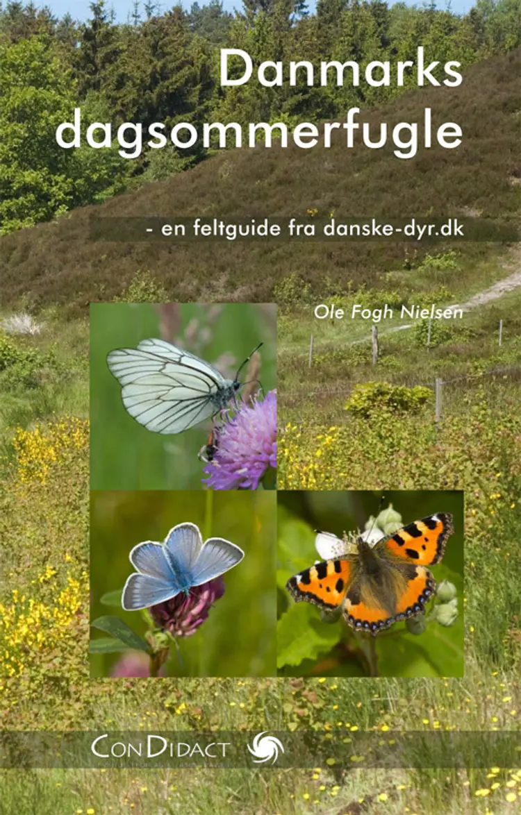 Danmarks dagsommerfugle af Ole Fogh Nielsen