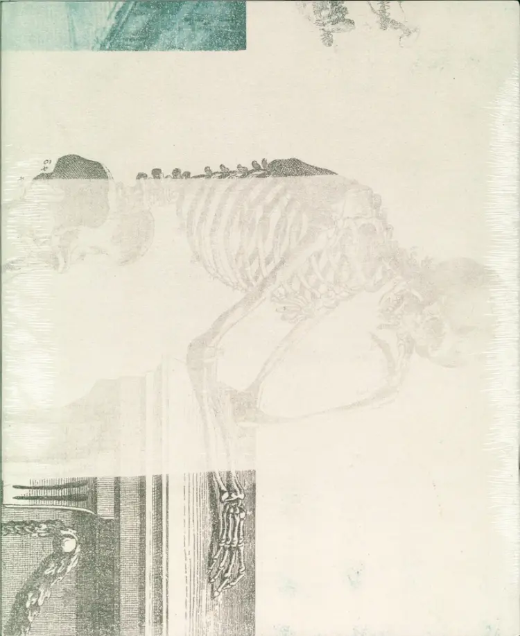 Robert Rauschenberg, Lurid Attack af Roni Feinstein