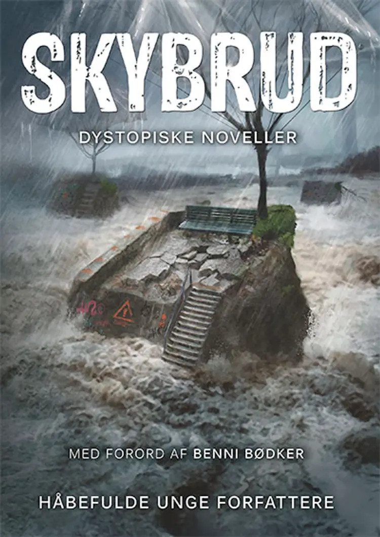 Skybrud af Maya Stolbjerg Drud Salonin
