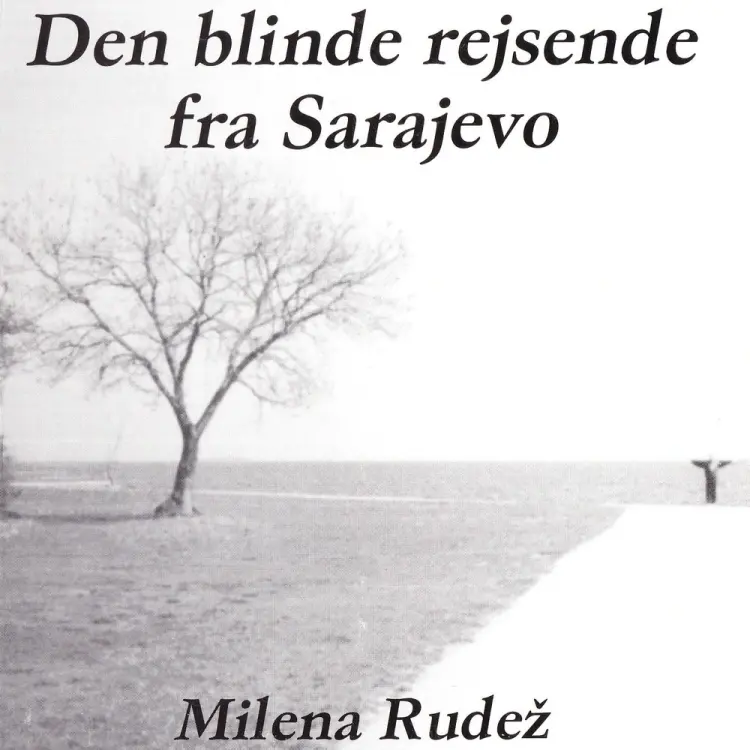 Den blinde rejsende fra Sarajevo af Milena Rudez