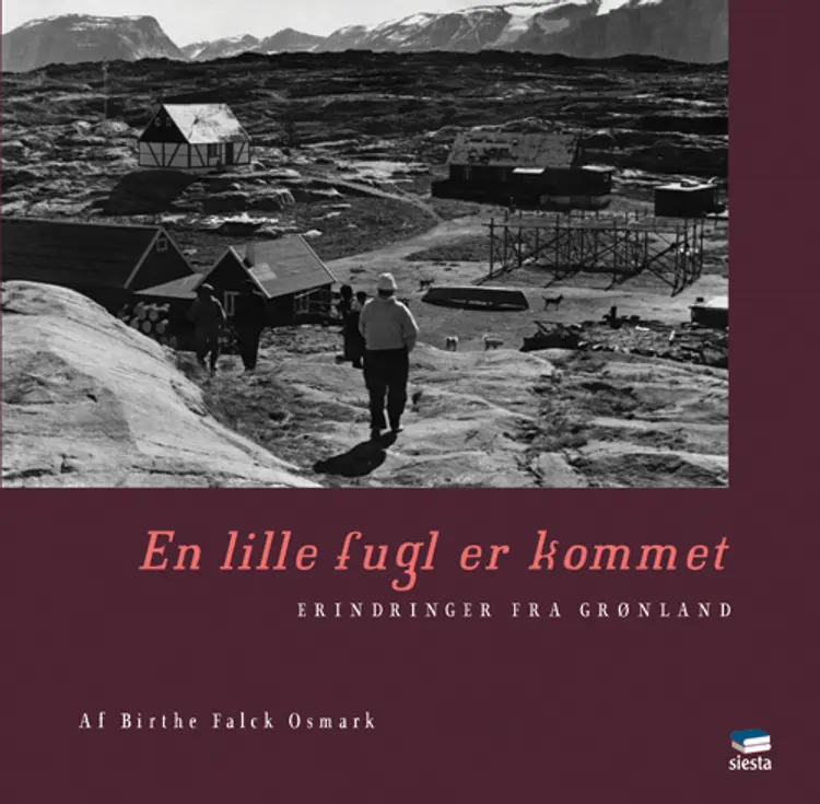 En lille fugl er kommet af Birthe Falck Osmark