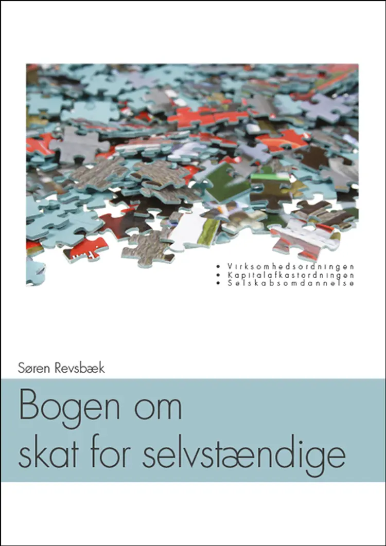 Bogen om skat for selvstændige af Søren Revsbæk
