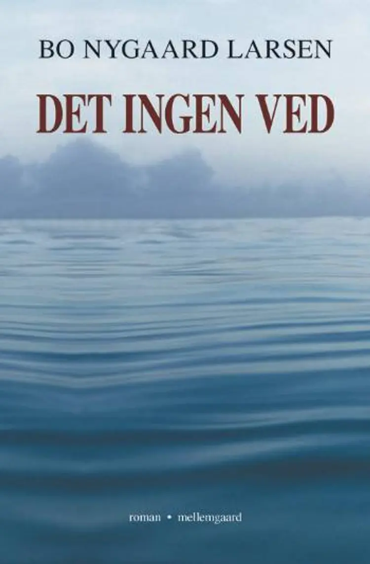 Det ingen ved af Bo Nygaard Larsen