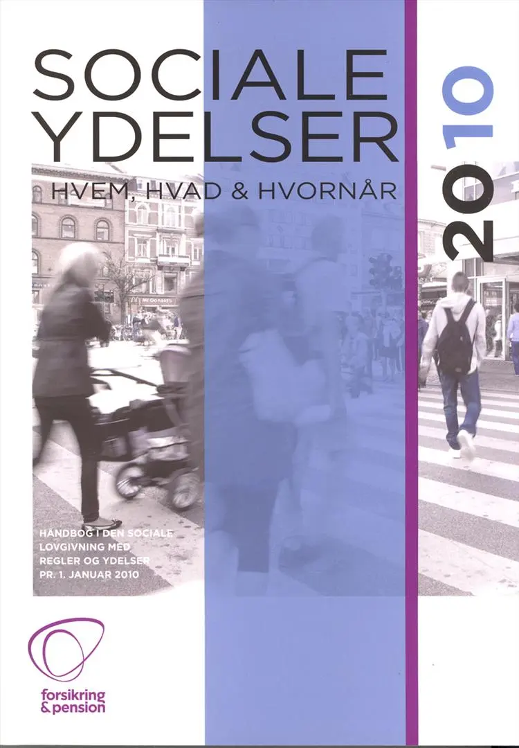 Sociale ydelser 2010 - hvem, hvad og hvornår af Lis Vilhof