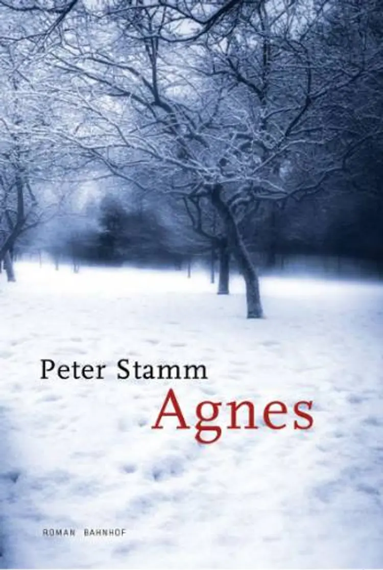 Agnes af Peter Stamm