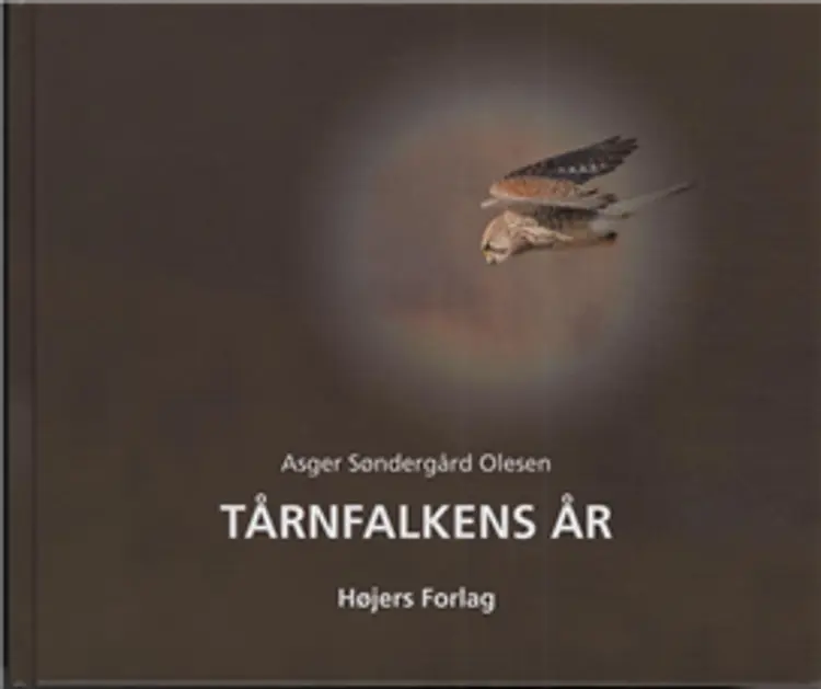 Tårnfalkens år af Asger Søndergård Olesen