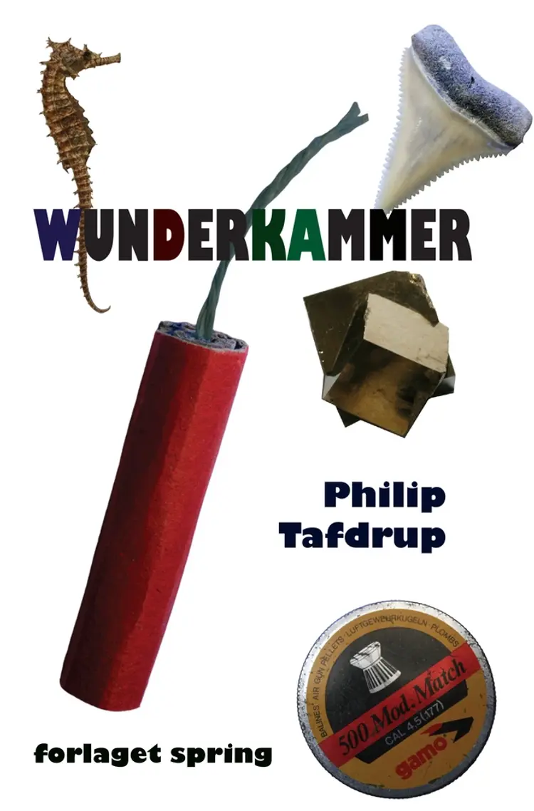 Wunderkammer af Philip Tafdrup