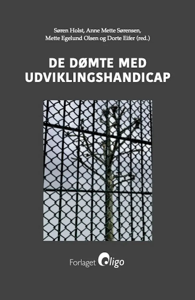 De dømte med udviklingshandicap af Mette Egelund Olsen