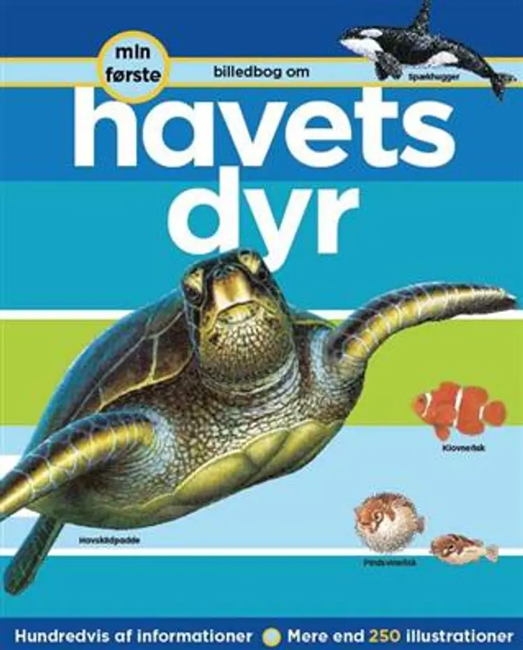 Min første billedbog om havets dyr af Robert Coupe