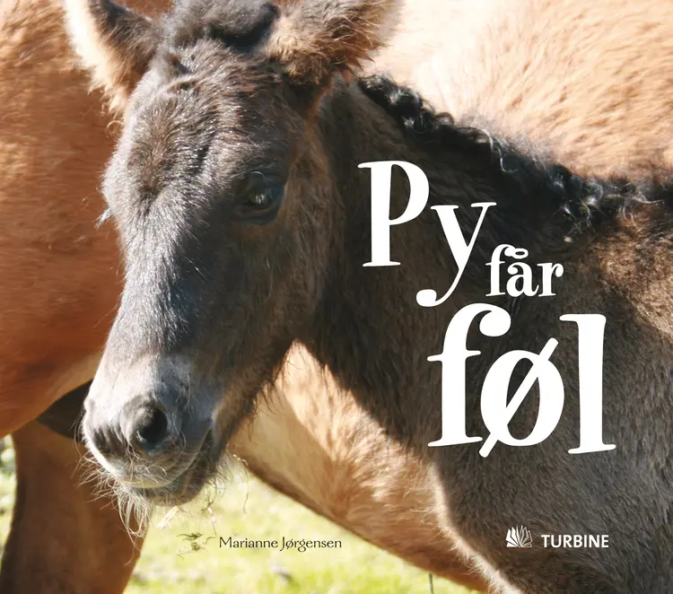 Py får føl af Marianne Jørgensen