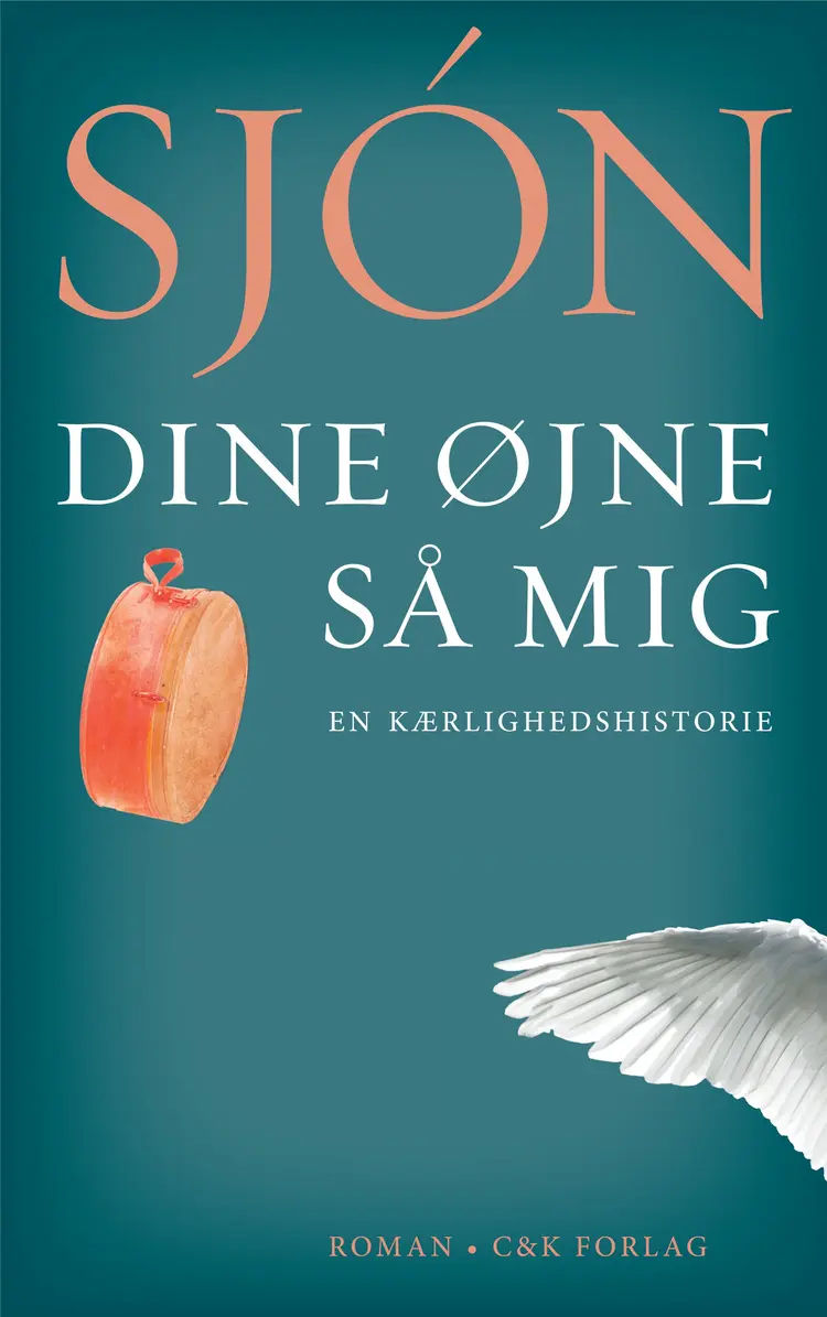 Dine øjne så mig af Sjón