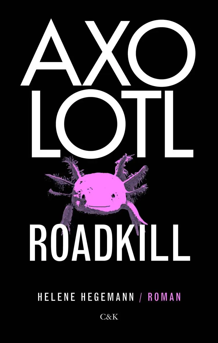 Axolotl Roadkill af Helene Hegemann