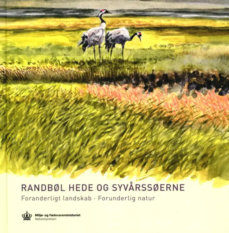 Randbøl Hede og Syvårssøerne af Gert Hougaard Rasmussen