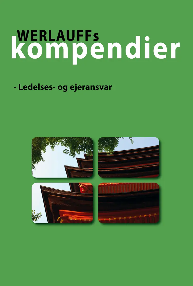 Ledelses- og ejeransvar af Erik Werlauff