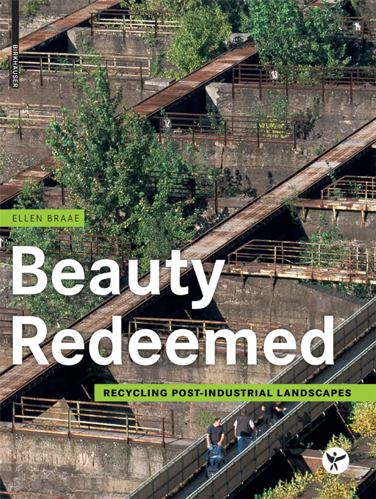 Beauty redeemed af Ellen Braae