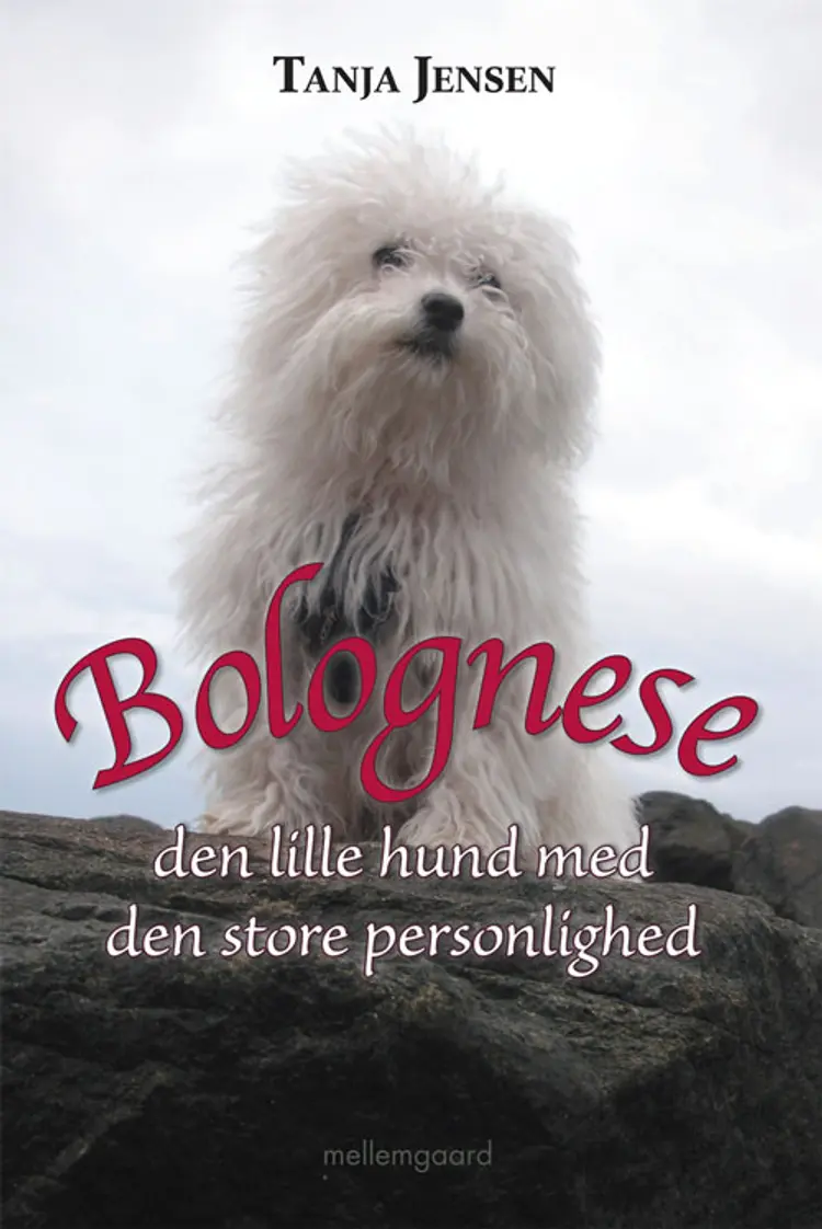 Bolognese af Tanja Jensen