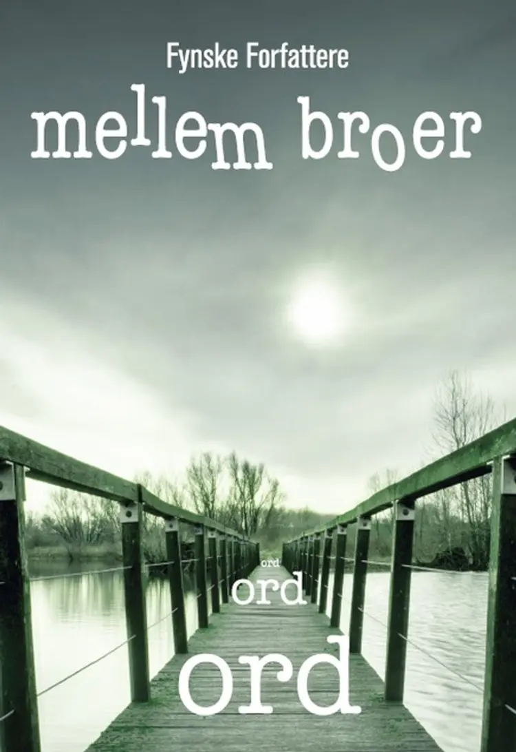 Mellem Broer af Leif Achton-Lynegaard