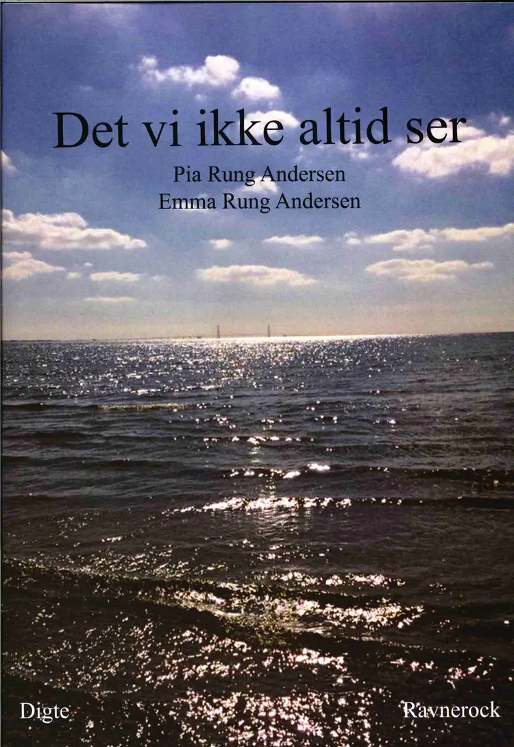 Det vi ikke altid ser af Pia Rung Andersen