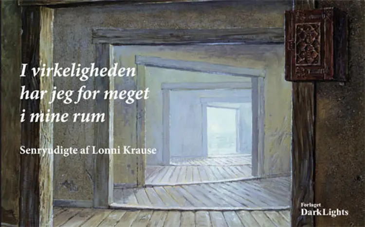 I virkeligheden har jeg for meget i mine rum af Lonni Krause