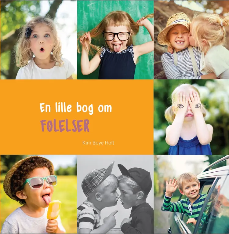 En lille bog om FØLELSER af Kim Boye Holt