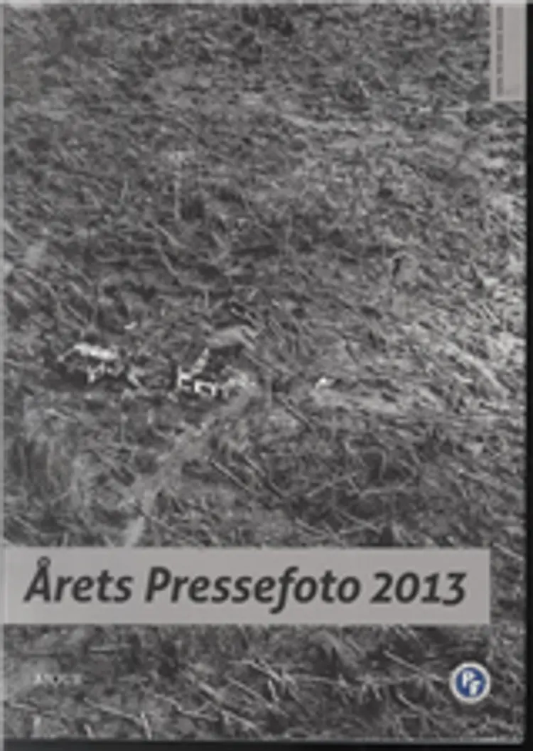 Årets pressefoto 2013