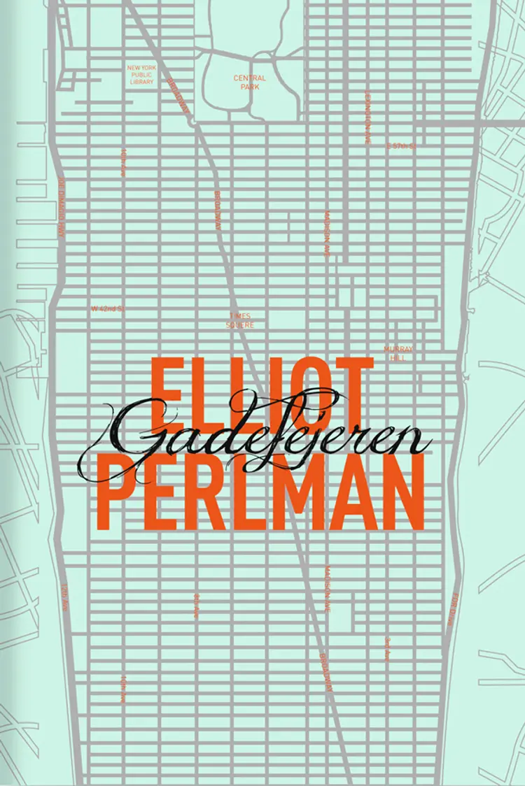 Gadefejeren af Elliot Perlman