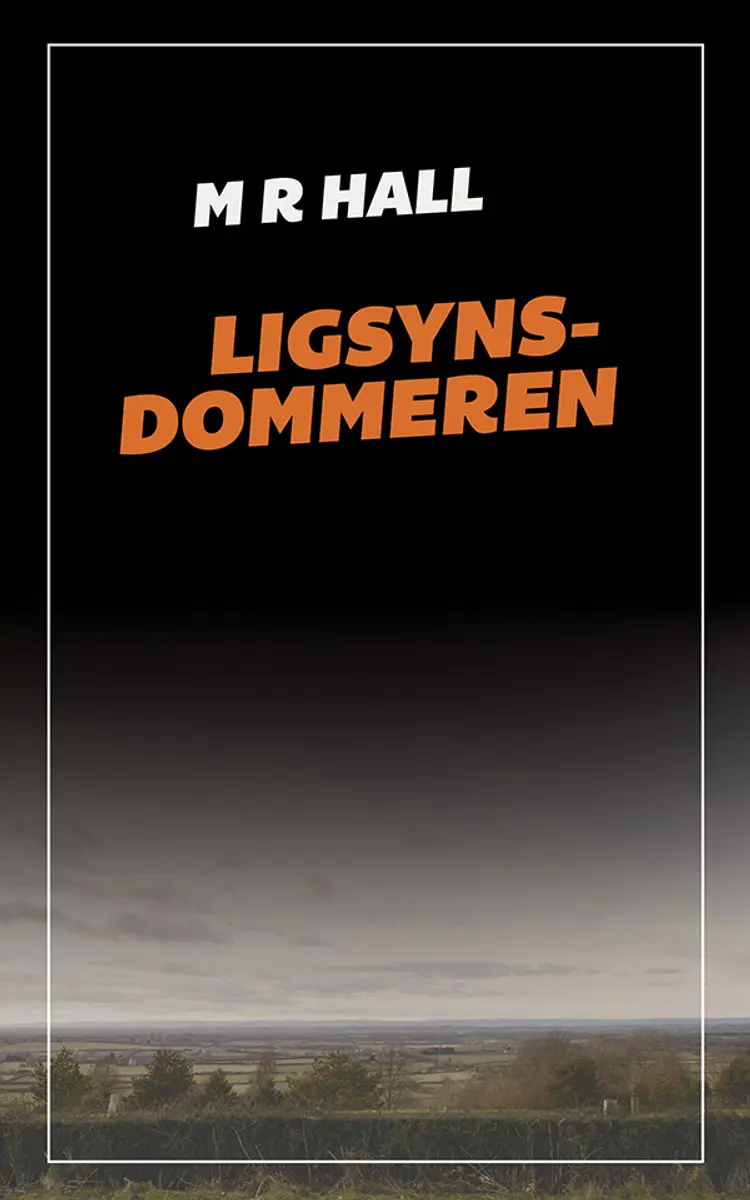Ligsynsdommeren af M.R. Hall