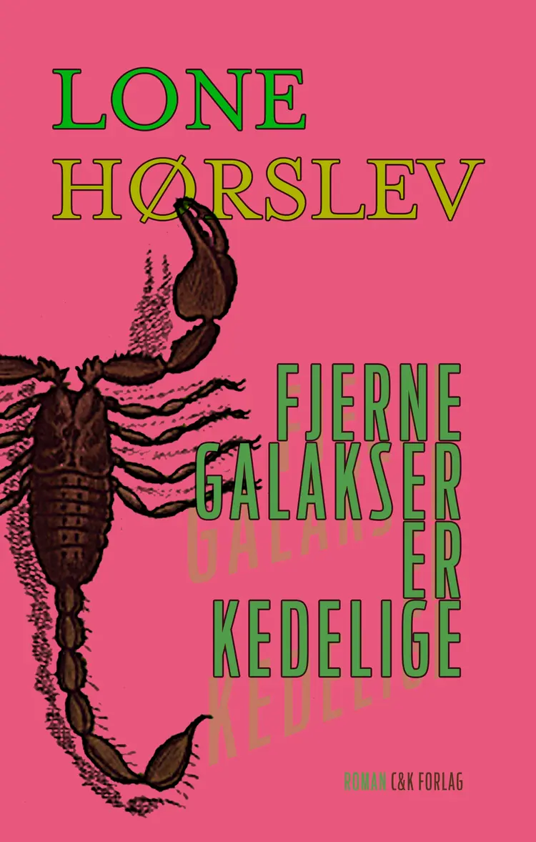Fjerne galakser er kedelige af Lone Hørslev