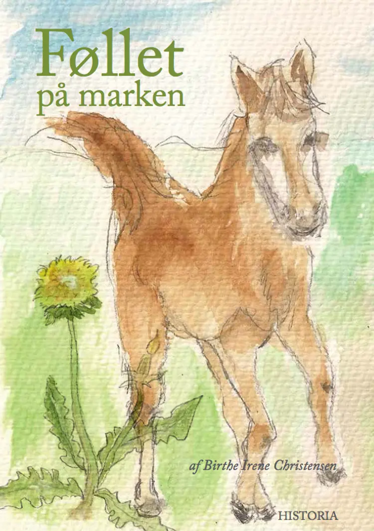Føllet på marken af Birthe Irene Christensen