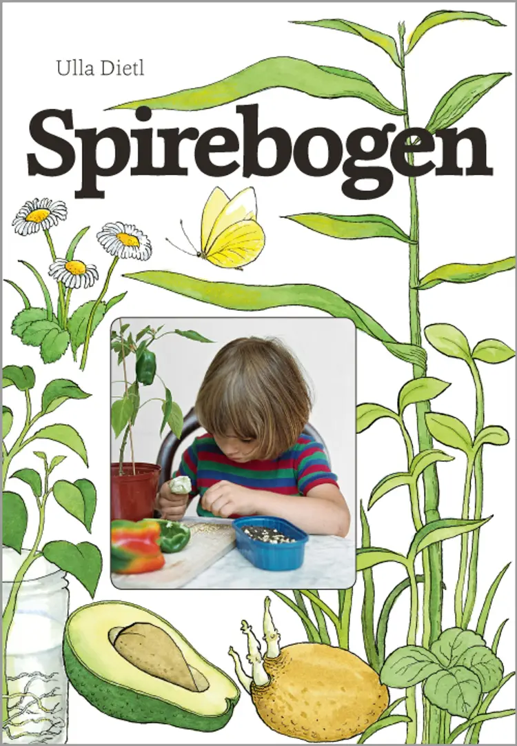 Spirebogen af Ulla Dietl