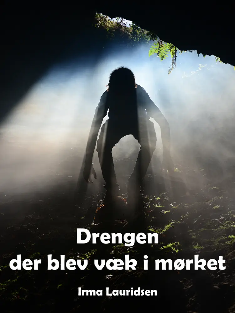Drengen der blev væk i mørket af Irma Lauridsen